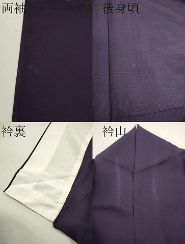 平和屋着物＊夏物 色無地 絽 紫紺色 正絹 逸品 CABB2249ze