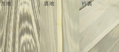 平和屋着物＊夏物 小紋 紗 吉祥文 正絹 逸品 CABB2250ze