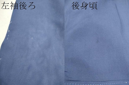 平和屋着物＊夏物 訪問着 絽 手描き 草花文 暈し染め 銀彩 正絹 逸品 未使用 CABB2259ze
