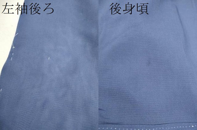平和屋着物＊夏物 訪問着 絽 手描き 草花文 暈し染め 銀彩 正絹 逸品 未使用 CABB2259ze