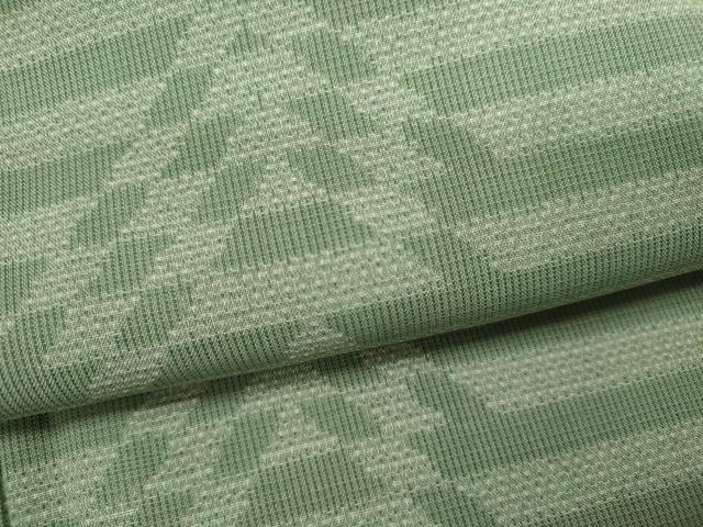 平和屋着物＊夏物 本場大島紬 夏大島 150亀甲 縞吉祥文 正絹 逸品 CABB2260ze