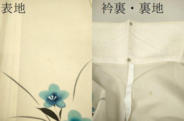 平和屋着物＊夏物 訪問着 絽 手描き 草花文 正絹 逸品 CABB2265ze