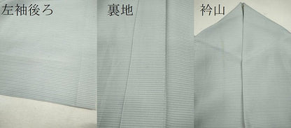 平和屋着物＊夏物 色無地 絽 薄雲鼠色 正絹 逸品 CABB2275ze