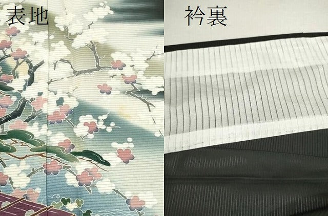平和屋着物＊夏物 黒留袖 絽 人物風景花文 暈し染め 金彩 正絹 逸品 CABB2282ze