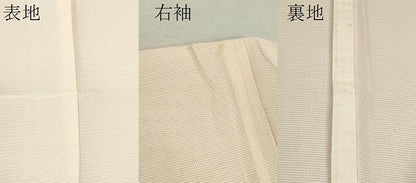 平和屋着物＊夏物 訪問着 絽 手描き 笹竹文 暈し染め 正絹 逸品 未使用 CABB2291ze