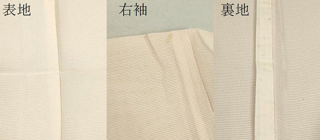 平和屋着物＊夏物 訪問着 絽 手描き 笹竹文 暈し染め 正絹 逸品 未使用 CABB2291ze
