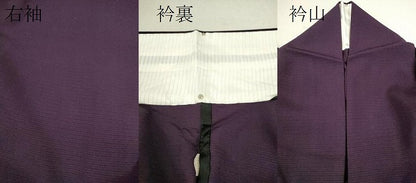 平和屋着物＊夏物 色無地 絽 紫紺色 正絹 逸品 CABB2293ze