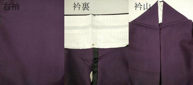 平和屋着物＊夏物 色無地 絽 紫紺色 正絹 逸品 CABB2293ze
