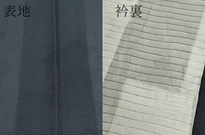 平和屋着物＊夏物 訪問着 絽 手描き 枝花文 暈し染め 金彩 正絹 逸品 CABB2297ze