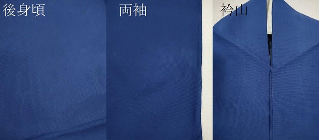 平和屋着物＊夏物 色無地 絽 瑠璃紺色 正絹 逸品 CABB2299ze