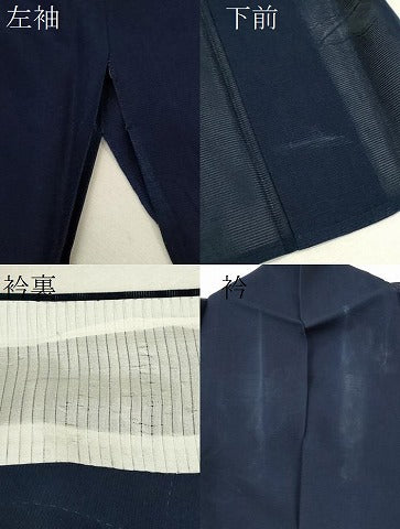 平和屋着物＊夏物 色無地 舞蝶紋絽 濃藍色 正絹 逸品 CABB2300ze
