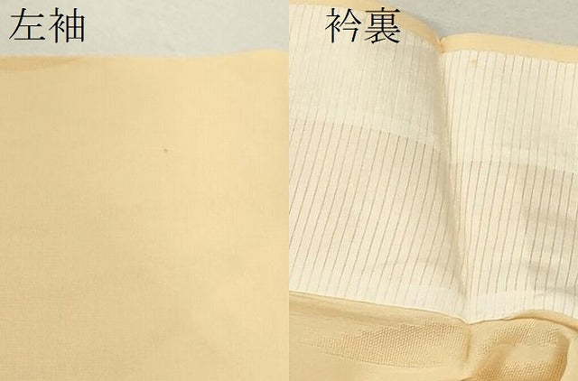 平和屋着物＊夏物　色無地　枝葉紋紗　蜂蜜色　正絹　逸品　未使用　CABB2301ze 平和屋着物＊夏物 色無地 枝葉紋紗 蜂蜜色 正絹 逸品 未使用