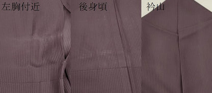 平和屋着物＊夏物 色無地 縦絽 滅紫色 正絹 逸品 CABB2322ze