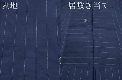 平和屋着物＊夏物 小紋 絽 千鳥 縞 銀通し地 正絹 逸品 CABB2329ze