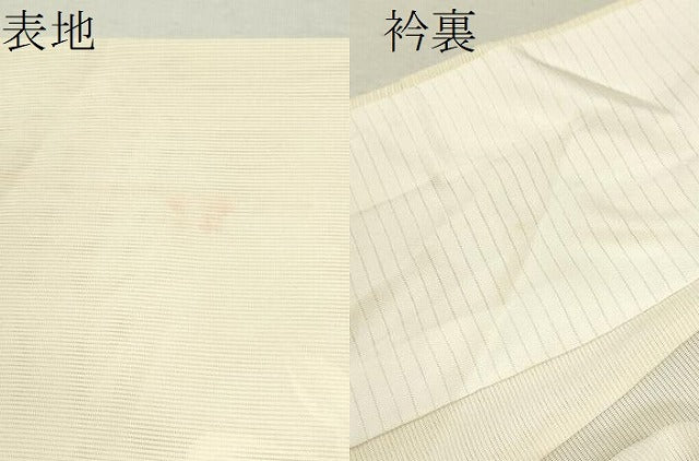 平和屋着物＊夏物 訪問着 絽 手描き 燕子花 正絹 逸品 CABB2331ze