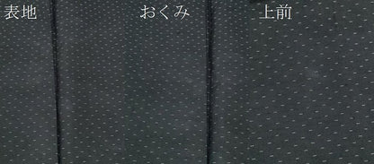 平和屋着物＊夏物 紗紬 吉祥文 正絹 逸品 CABB2332ze