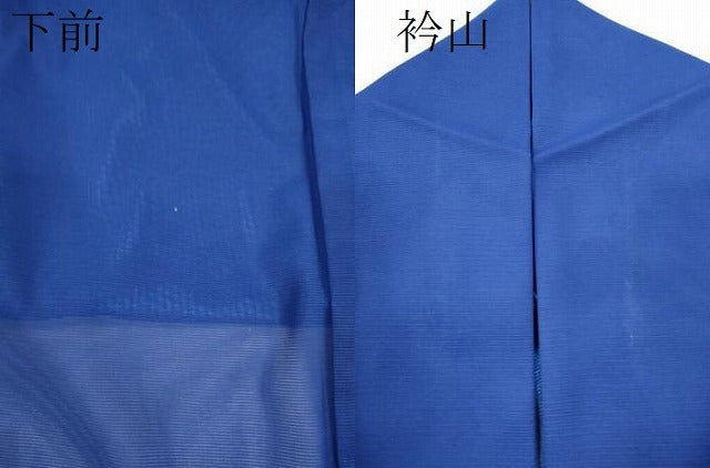 平和屋着物＊夏物 訪問着 絽 短冊草花文 金彩 洗える着物 CABB2341ze