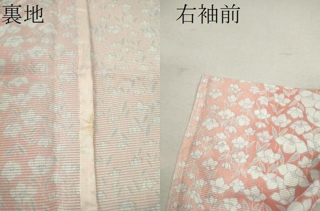 平和屋着物＊夏物 小紋 絽 草花尽くし 暈し染め 洗える着物 CABB2346ze