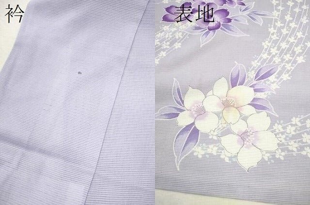平和屋着物＊夏物 訪問着 絽 草花文 洗える着物 CABB2350ze