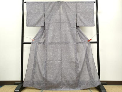 平和屋着物＊夏物　江戸小紋　絽　箔散らし　洗える着物　さんび謹製　CABB2366ze