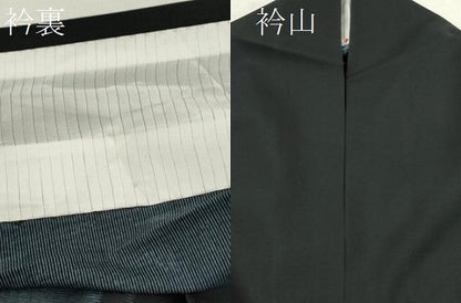 平和屋着物＊夏物 訪問着 絽 草木シルエット 黒地 洗える着物 CABB2368ze