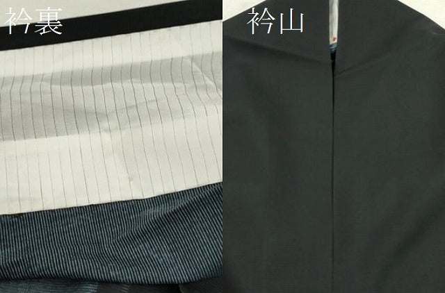 平和屋着物＊夏物 訪問着 絽 草木シルエット 黒地 洗える着物 CABB2368ze