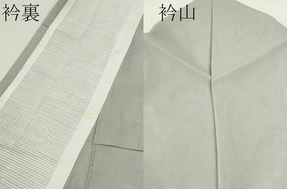 平和屋着物＊夏物 訪問着 絽 蛍暈し 舞花文 金彩 洗える着物 CABB2369ze
