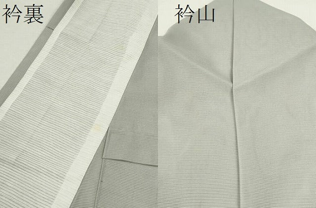 平和屋着物＊夏物 訪問着 絽 蛍暈し 舞花文 金彩 洗える着物 CABB2369ze