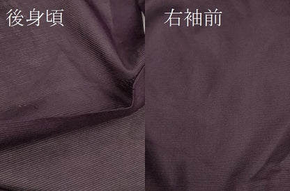 平和屋着物＊夏物 色無地 絽 乳白色 洗える着物 CABB2372ze