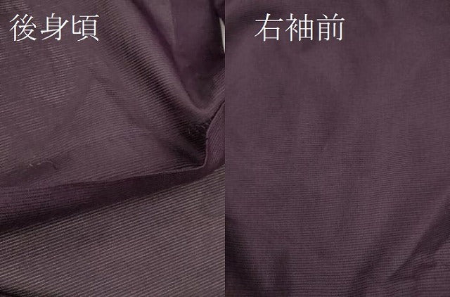 平和屋着物＊夏物 色無地 絽 乳白色 洗える着物 CABB2372ze