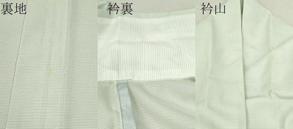 平和屋着物＊夏物 訪問着 絽 雪輪吉祥草花文 洗える着物 CABB2374ze
