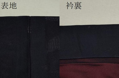 平和屋着物＊夏物 色無地 縦絽 露芝紋紗 秘色色 大丸扱い 正絹 逸品 CABB2378ze