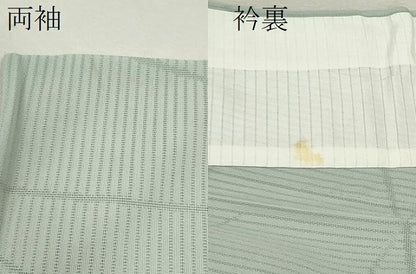 平和屋着物＊夏物 色無地 縦絽 露芝紋紗 秘色色 大丸扱い 正絹 逸品 CABB2379ze
