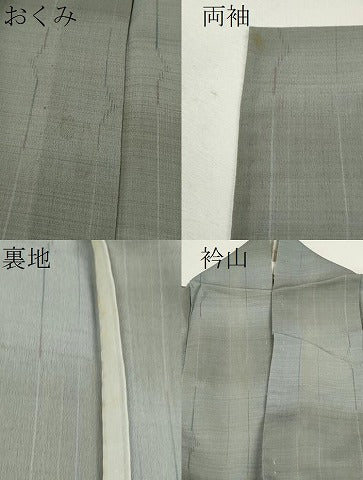 平和屋着物＊夏物 明石縮 吉祥文 正絹 逸品 CABB2380ze