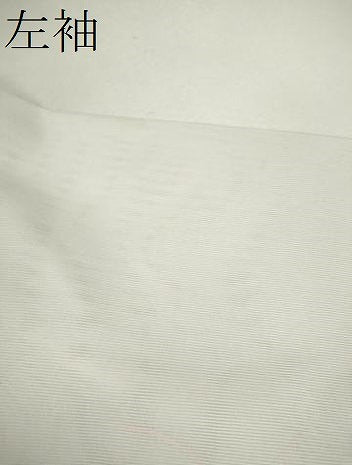 平和屋着物＊夏物 訪問着 絽 雀 草花文 金彩 正絹 逸品 CABB2386ze