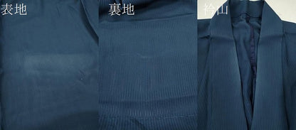 平和屋着物＊夏物 訪問着 縦絽 草花文 暈し染め 金銀彩 正絹 逸品 CABB2389ze