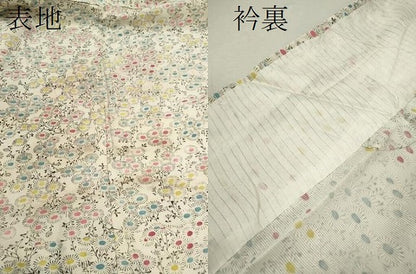平和屋着物＊夏物 小紋 絽 草花尽くし 正絹 逸品 CABB2395ze