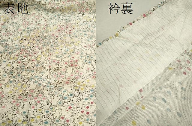 平和屋着物＊夏物 小紋 絽 草花尽くし 正絹 逸品 CABB2395ze