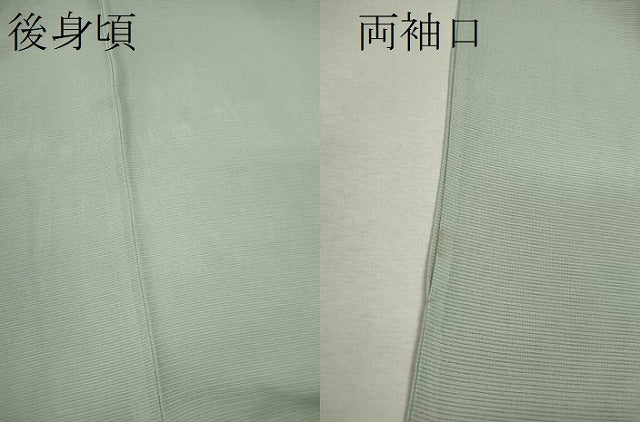 平和屋着物＊夏物 訪問着 絽 駒刺繍 枝花文 暈し染め