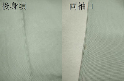 平和屋着物＊夏物 訪問着 絽 駒刺繍 枝花文 暈し染め 金彩 正絹 逸品 CABB2396ze