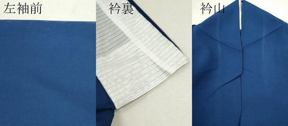 平和屋着物＊夏物 訪問着 絽 駒刺繍 撫子 正絹 逸品 CABB2398ze