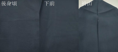 平和屋着物＊夏物 訪問着 絽 竹屋町刺繍 トンボ 金糸 正絹 逸品 CABB2400ze