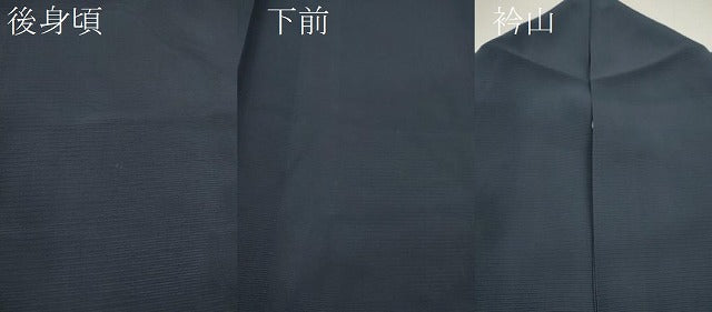 平和屋着物＊夏物 訪問着 絽 竹屋町刺繍 トンボ 金糸 正絹 逸品 CABB2400ze