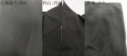 平和屋着物■豪華黒留袖　飛鶴風景文　暈し染め　金彩　正絹　逸品　CABB2433xi