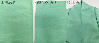 平和屋着物■上質な色無地　絵霞地紋　若竹色　正絹　逸品　CABB2512xi