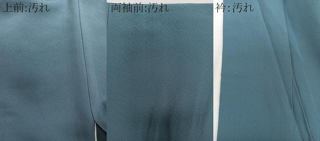 平和屋着物■色留訪問着　総刺繍　草花文　金糸　正絹　逸品　CABB2624xi