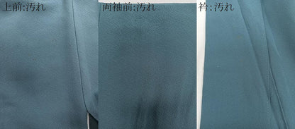 平和屋着物■色留訪問着　総刺繍　草花文　金糸　正絹　逸品　CABB2624xi