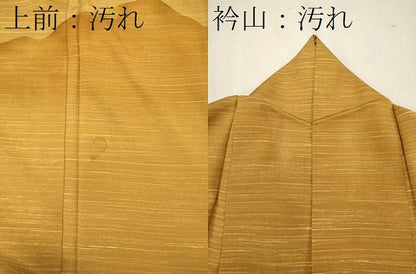 平和屋着物■訪問着 紬地 遠山文 正絹 逸品 CABB3491oy