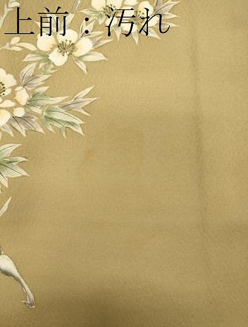 平和屋着物■訪問着 枝花文 正絹 逸品 CABB3530oy