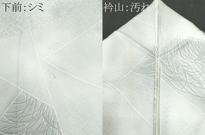 平和屋着物■上質な小紋　切嵌芒文　暈し染め　正絹　逸品　CABB3909fb